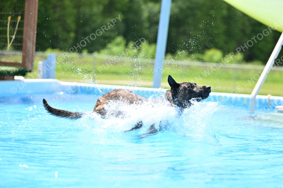 Dukes-5-17-25-01358_10150 PM