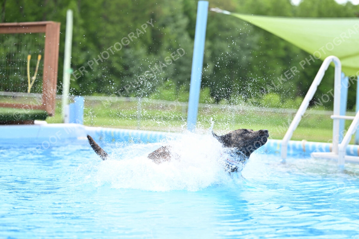 Dukes-5-17-25-01370_10240 PM