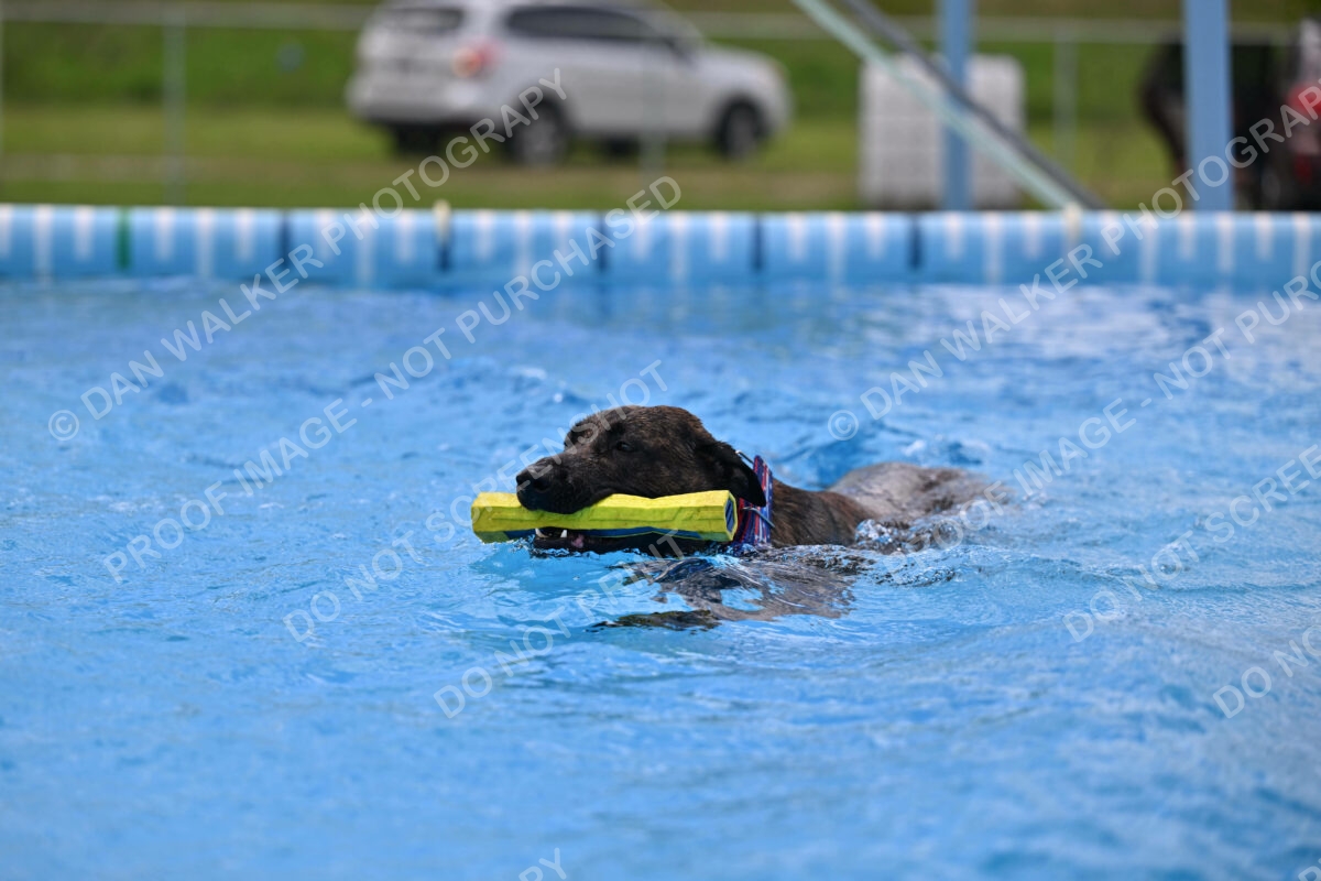 Dukes-5-17-25-01374_10244 PM