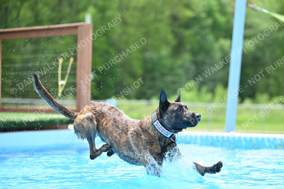 Dukes-5-17-25-01387_10324 PM