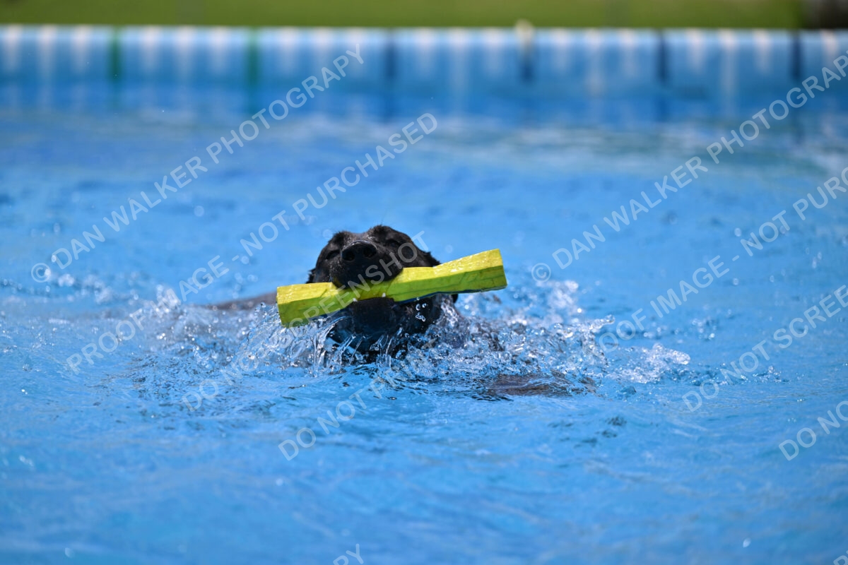 Dukes-5-17-25-01389_10327 PM