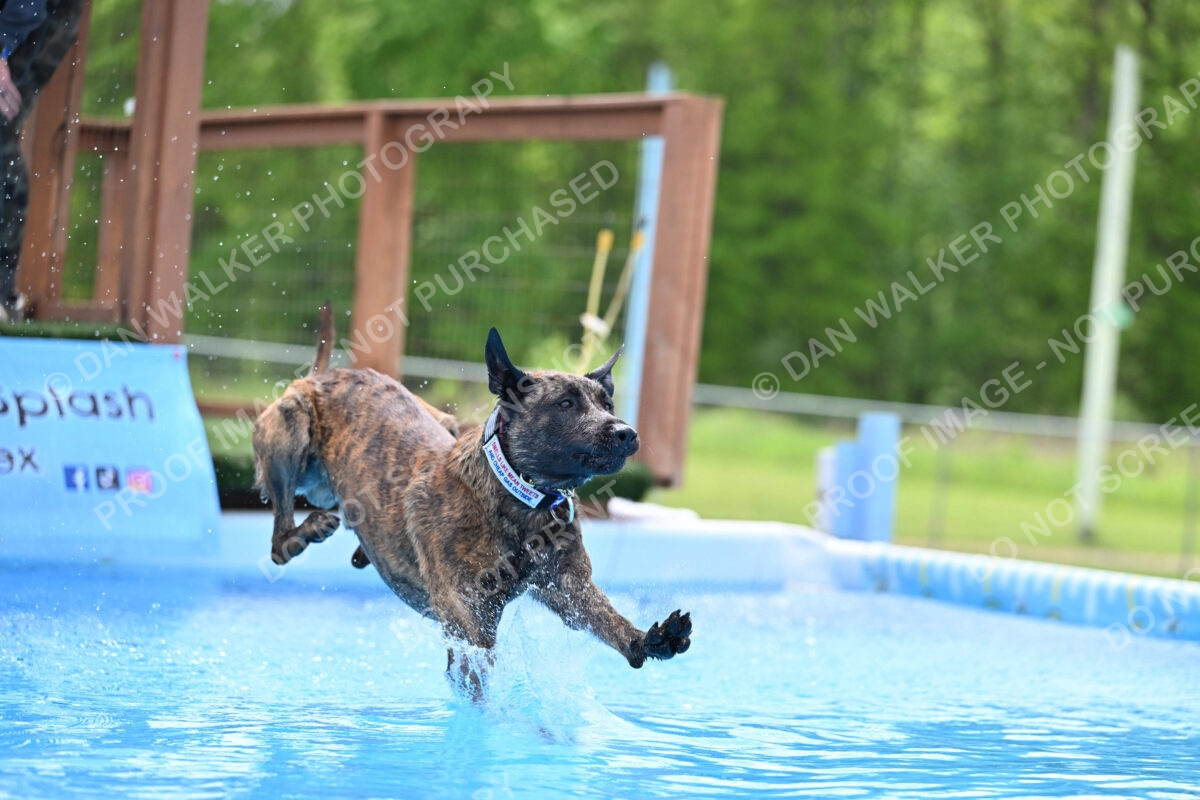 Dukes-5-17-25-01398_10407 PM