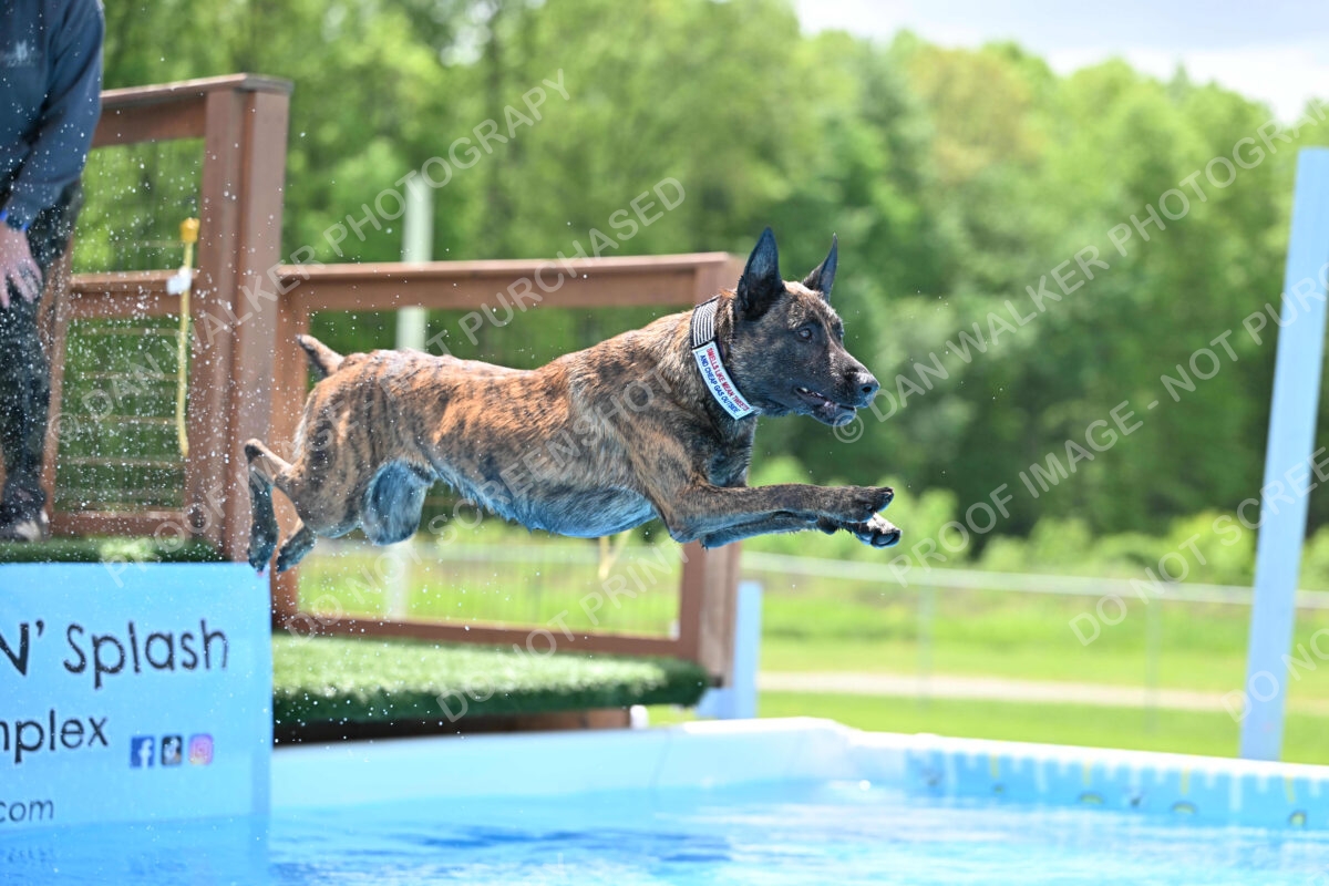 Dukes-5-17-25-01403_10457 PM