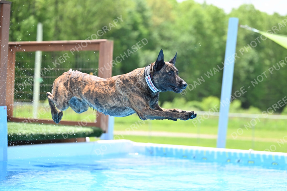 Dukes-5-17-25-01404_10458 PM