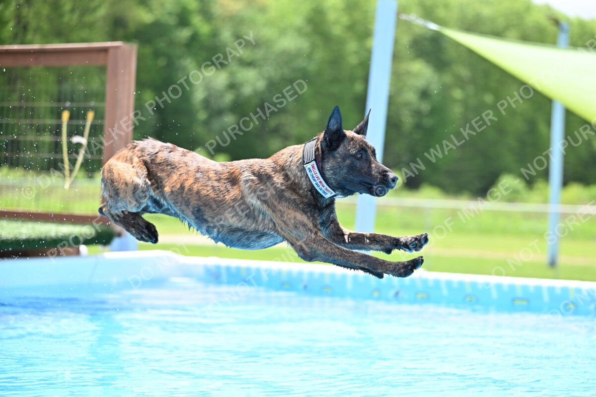 Dukes-5-17-25-01405_10458 PM