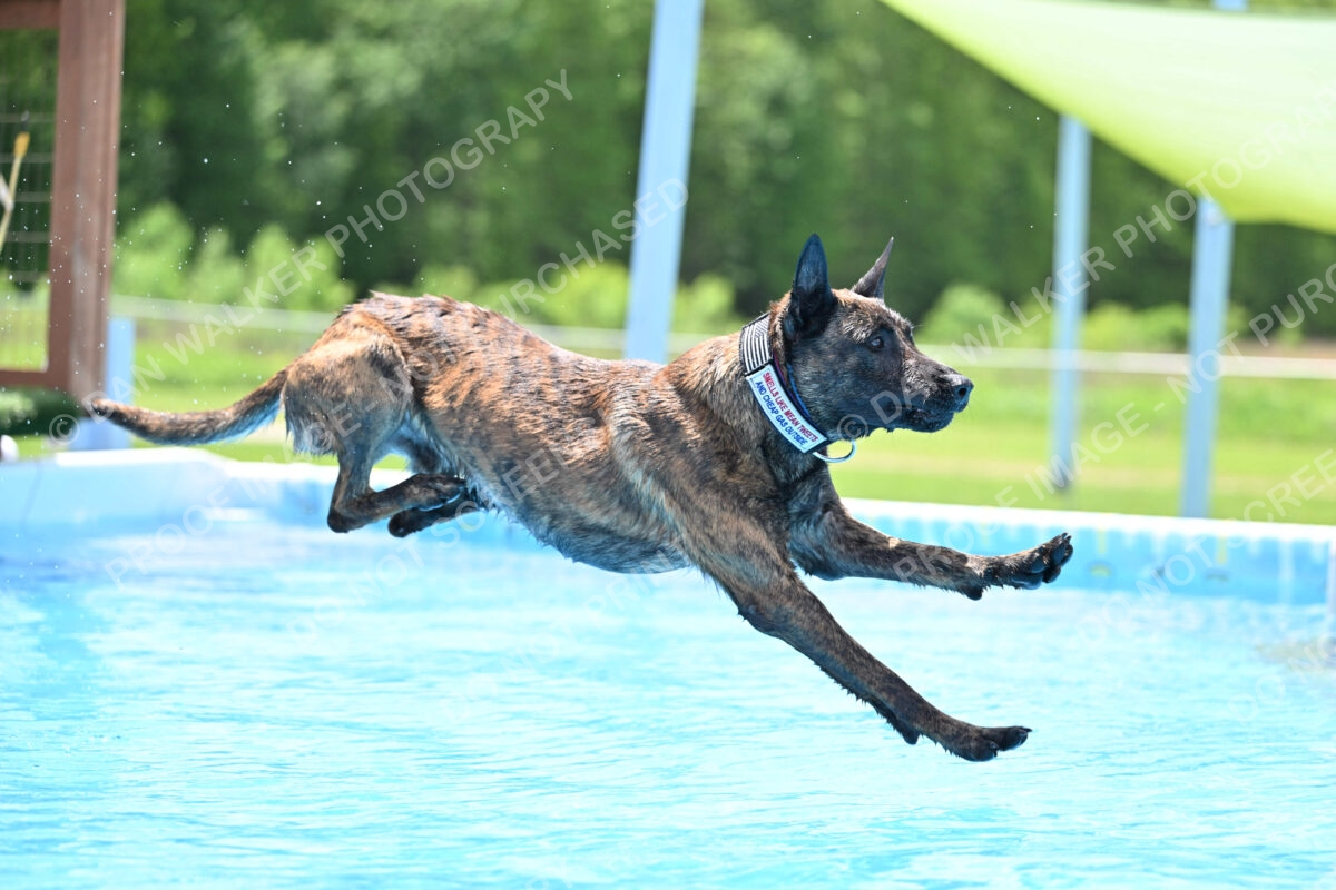 Dukes-5-17-25-01406_10458 PM