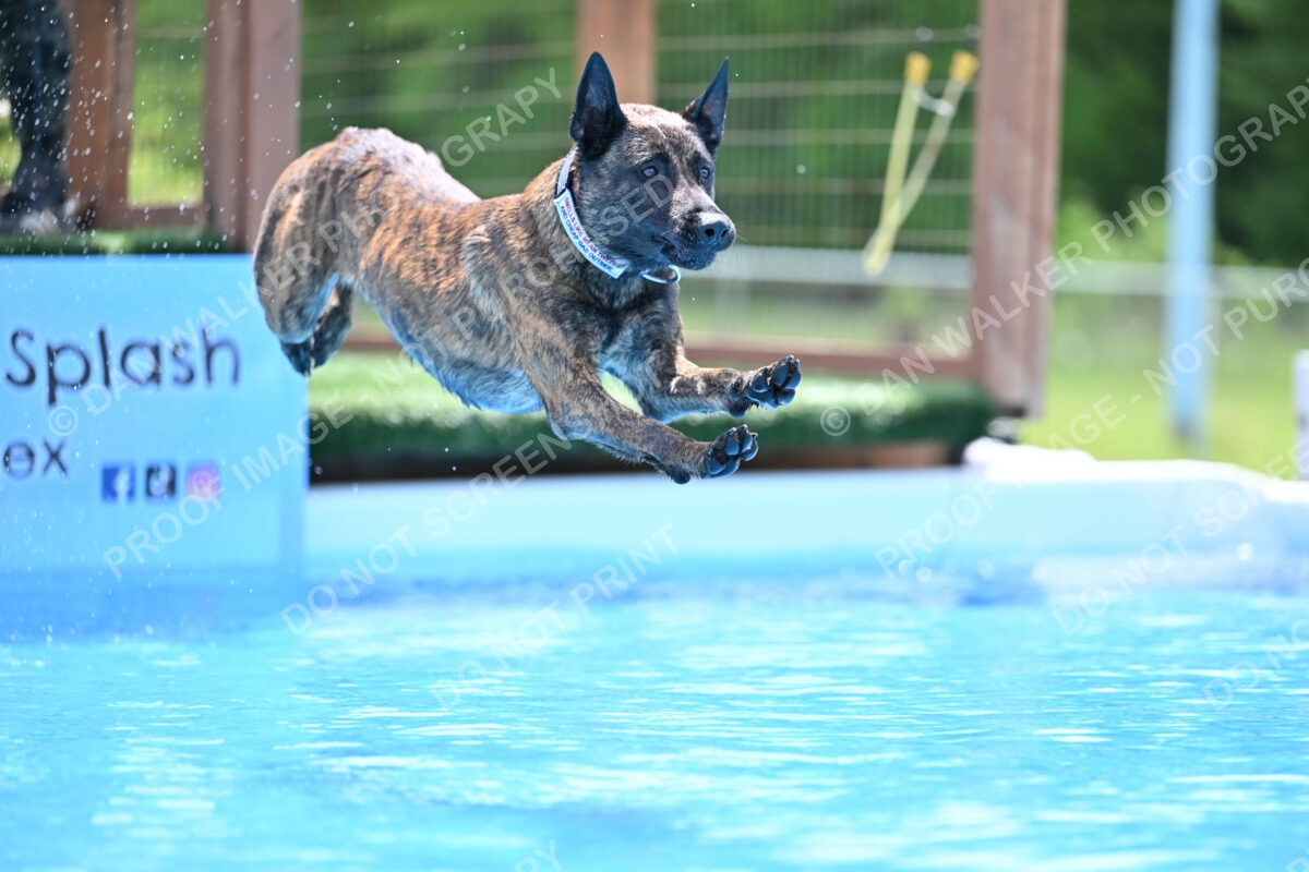 Dukes-5-17-25-01416_10551 PM