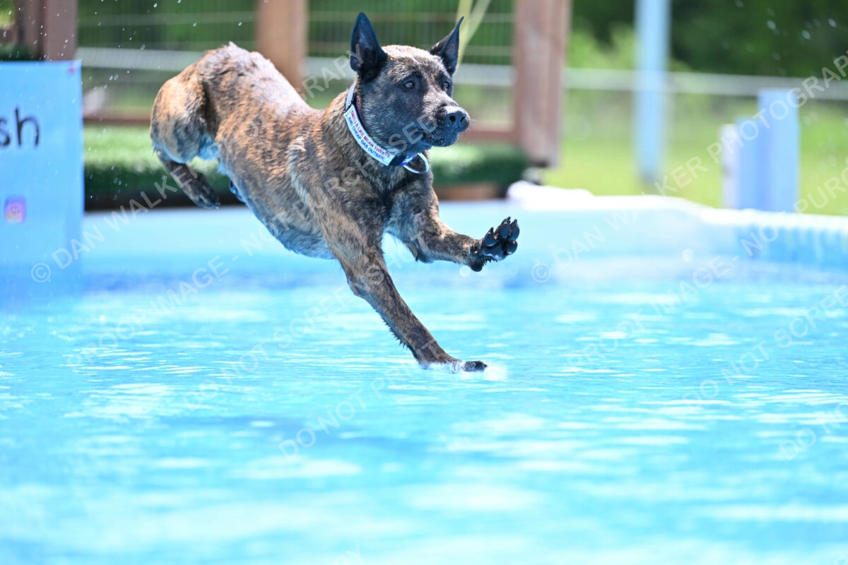 Dukes-5-17-25-01417_10552 PM