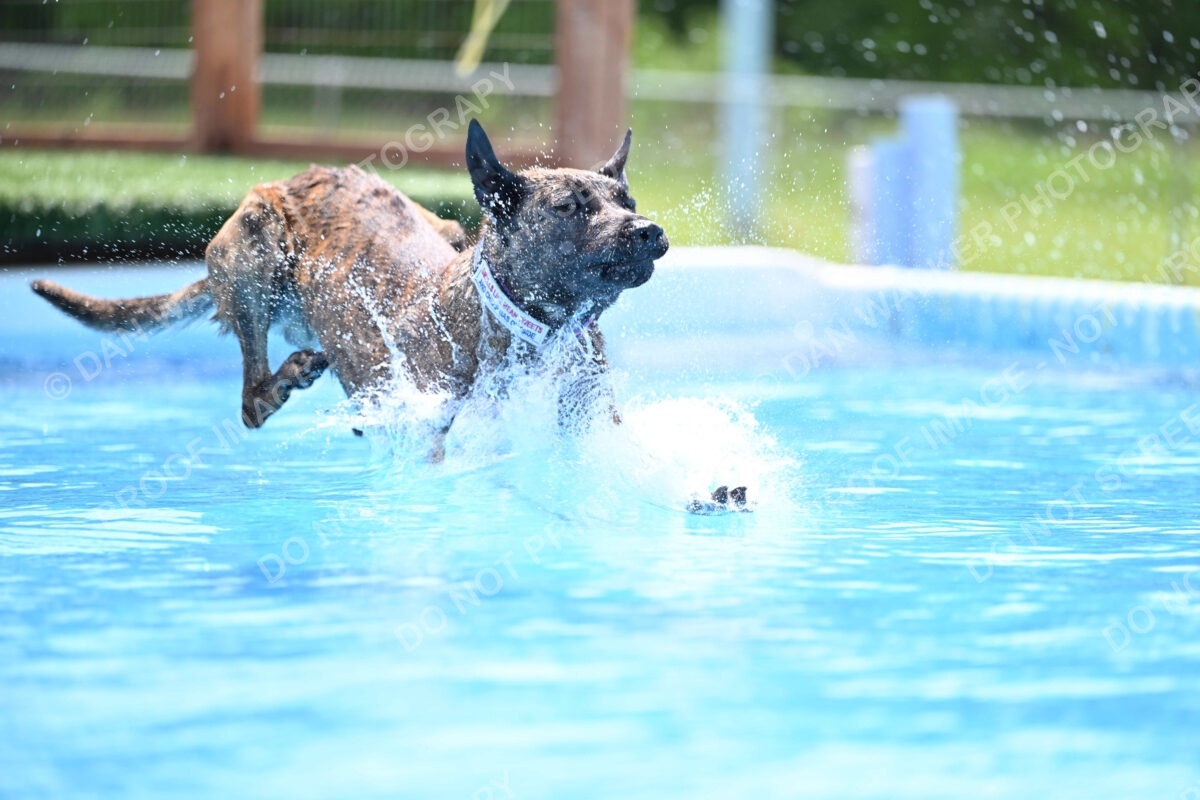 Dukes-5-17-25-01418_10552 PM