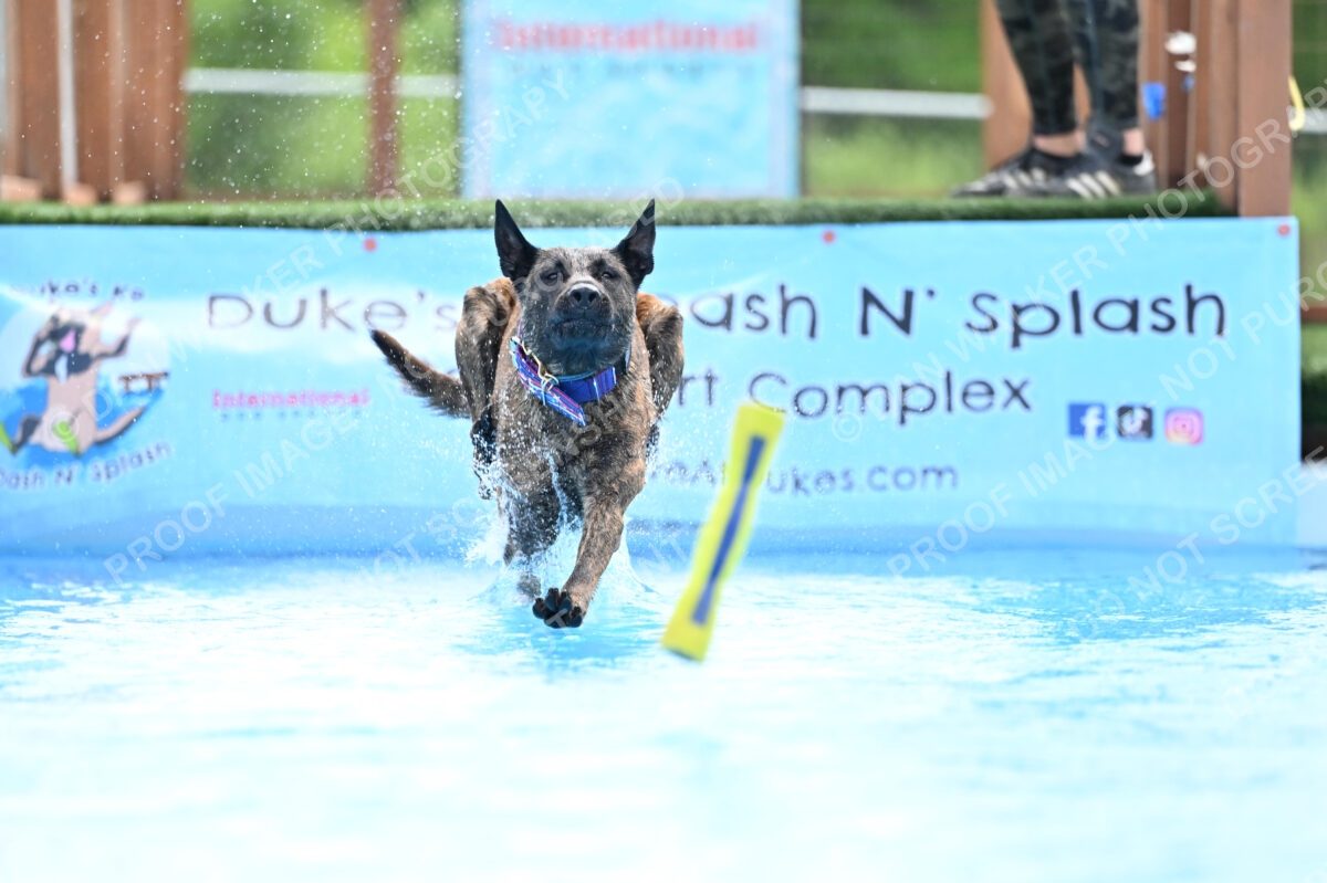 Dukes-5-17-25-01431_10647 PM