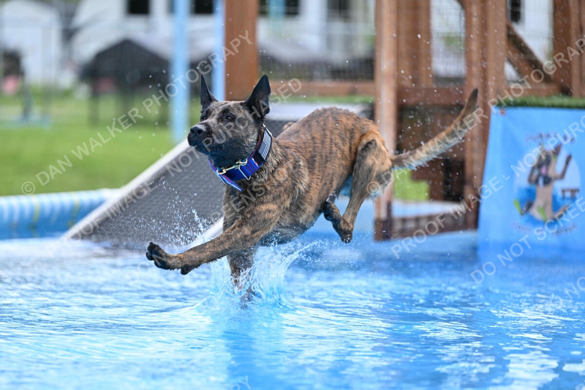 Dukes-5-17-25-01441_10757 PM