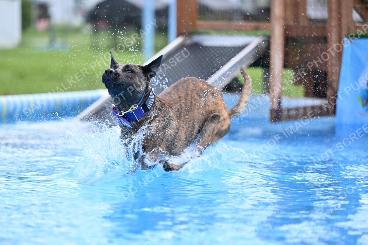 Dukes-5-17-25-01442_10757 PM