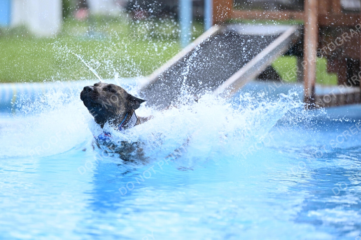 Dukes-5-17-25-01443_10757 PM