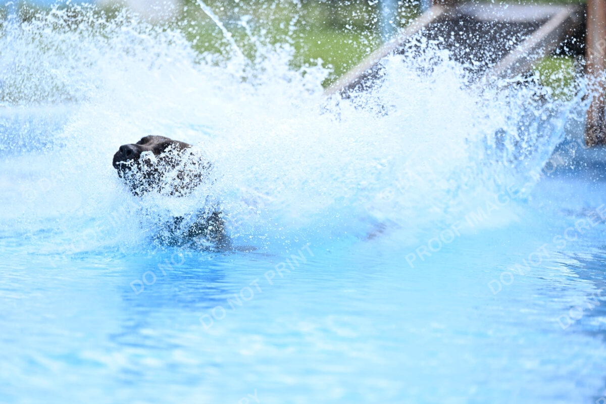 Dukes-5-17-25-01444_10757 PM