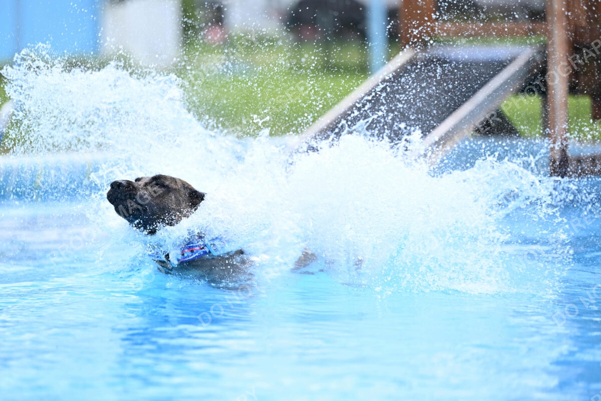 Dukes-5-17-25-01457_10847 PM