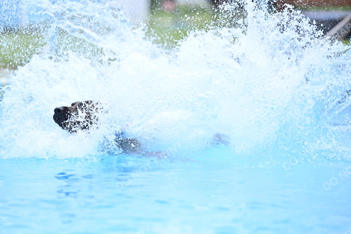 Dukes-5-17-25-01458_10847 PM