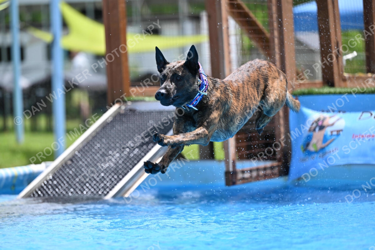 Dukes-5-17-25-01462_10935 PM