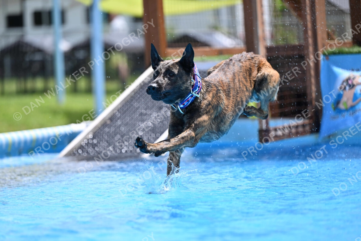 Dukes-5-17-25-01463_10936 PM