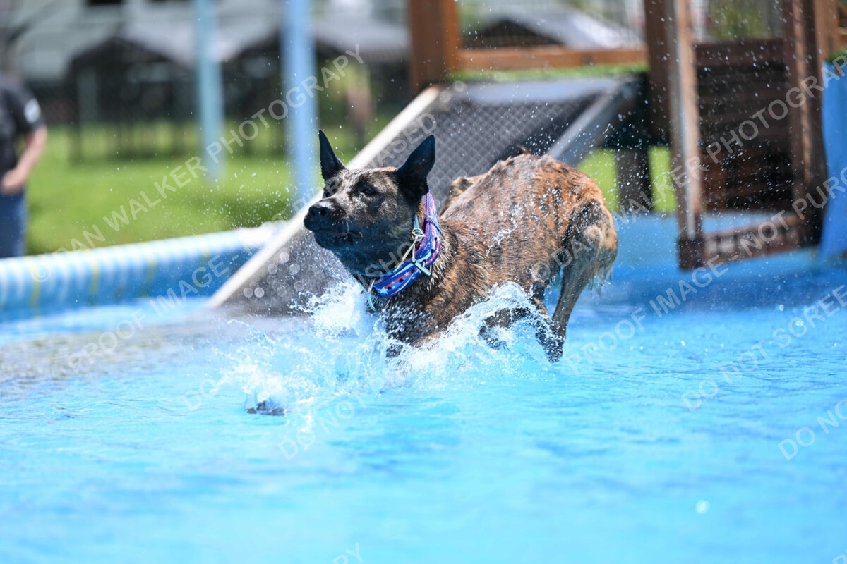 Dukes-5-17-25-01464_10936 PM