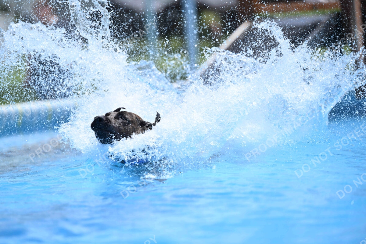 Dukes-5-17-25-01466_10936 PM