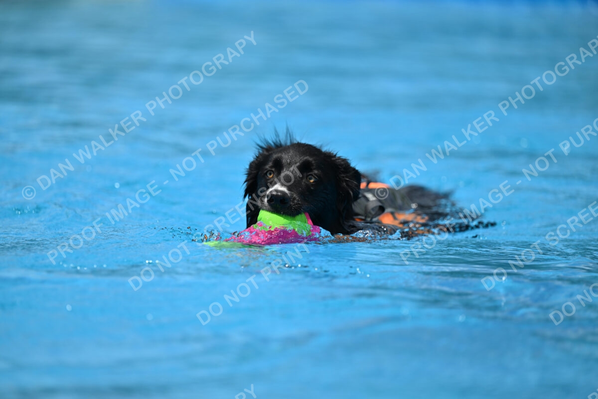 Dukes-5-17-25-01473_11541 PM