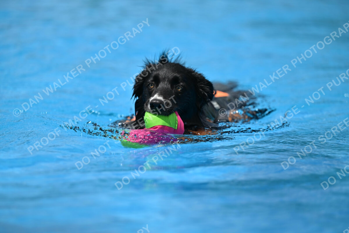 Dukes-5-17-25-01475_11543 PM