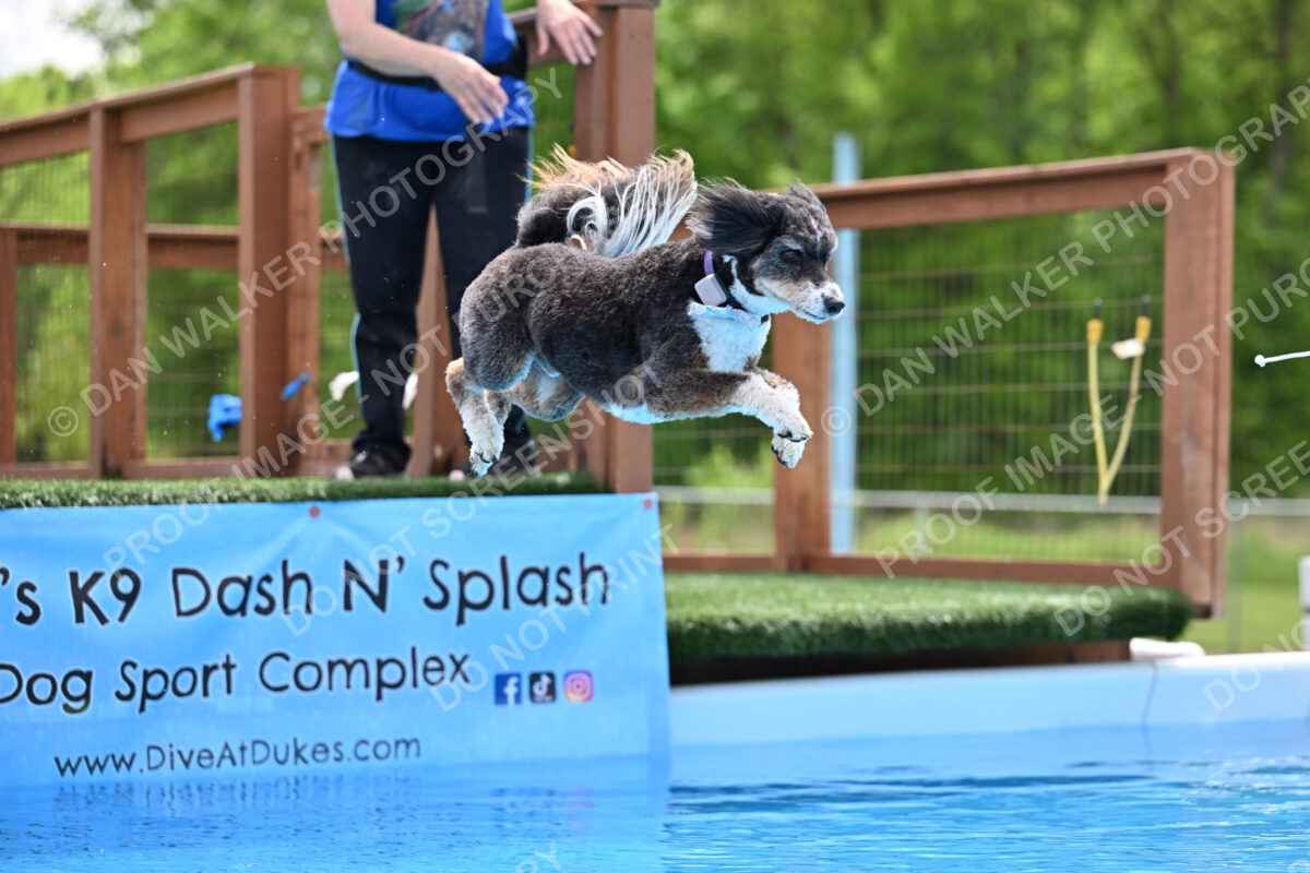 Dukes-5-17-25-01485_11727 PM