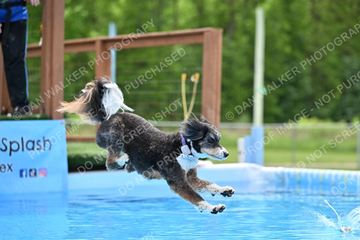 Dukes-5-17-25-01488_11727 PM