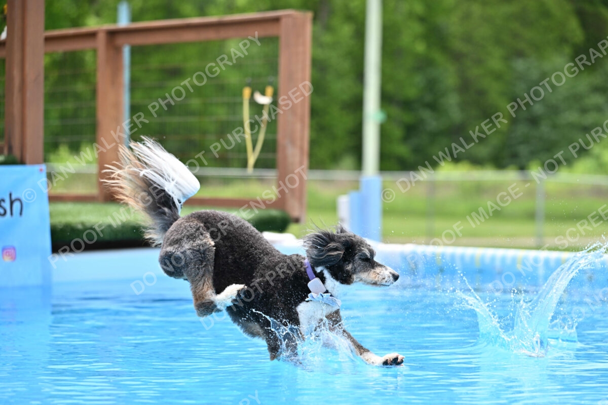 Dukes-5-17-25-01489_11727 PM