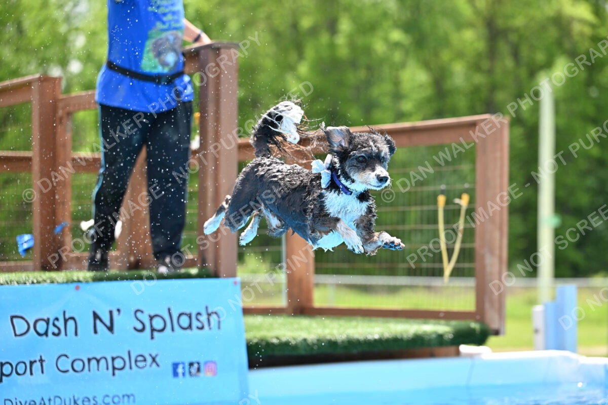 Dukes-5-17-25-01500_11756 PM