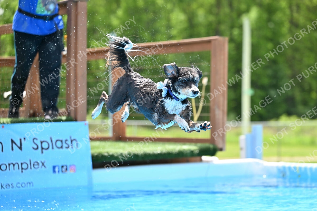 Dukes-5-17-25-01501_11756 PM