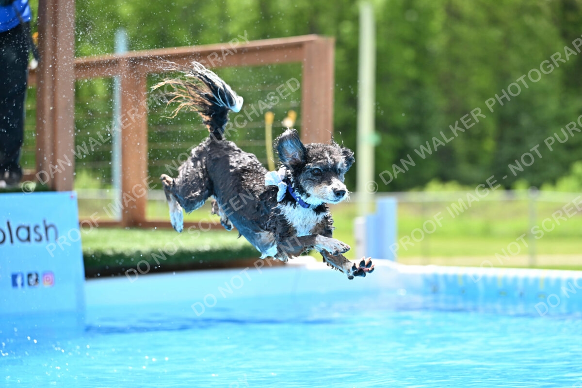 Dukes-5-17-25-01502_11756 PM