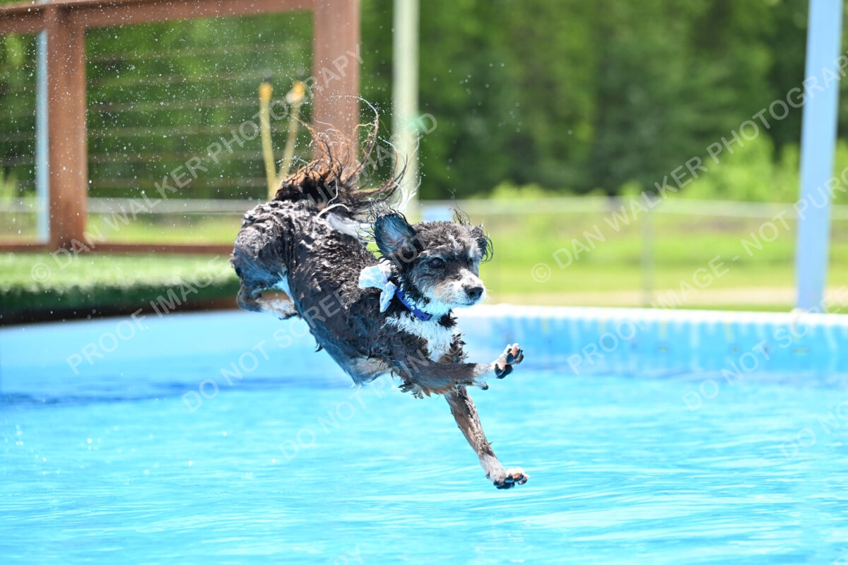 Dukes-5-17-25-01503_11756 PM