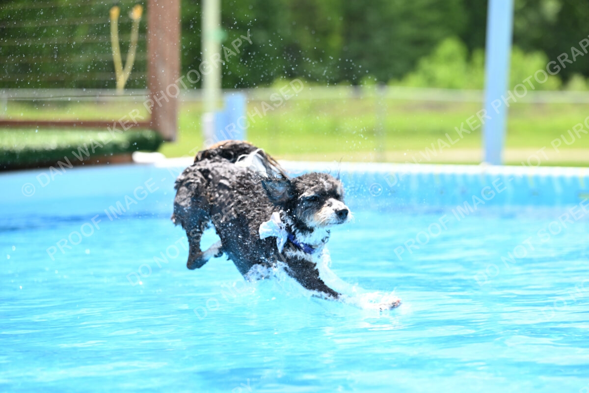 Dukes-5-17-25-01504_11757 PM