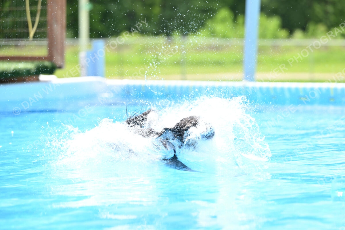 Dukes-5-17-25-01505_11757 PM