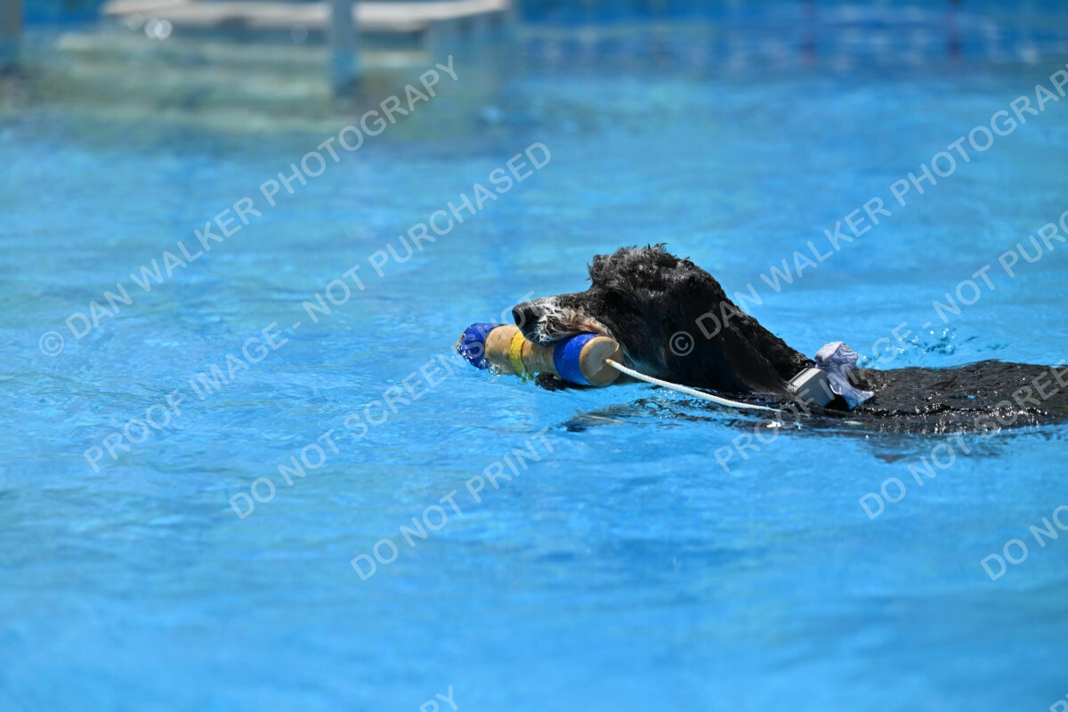 Dukes-5-17-25-01506_11803 PM