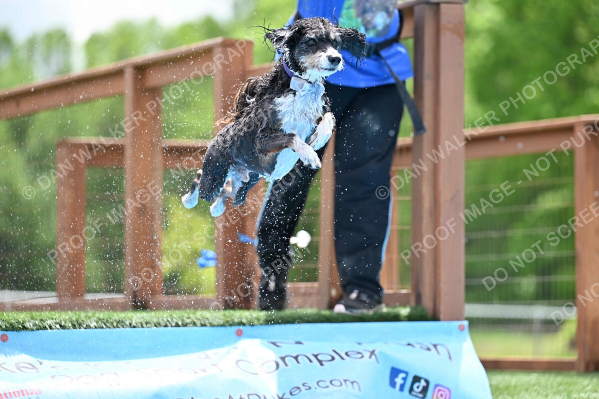 Dukes-5-17-25-01508_11826 PM