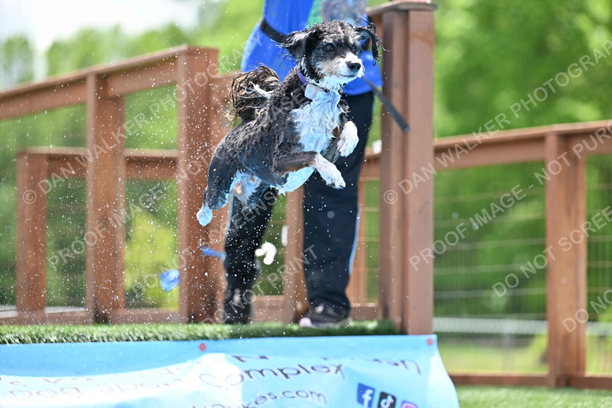 Dukes-5-17-25-01509_11826 PM