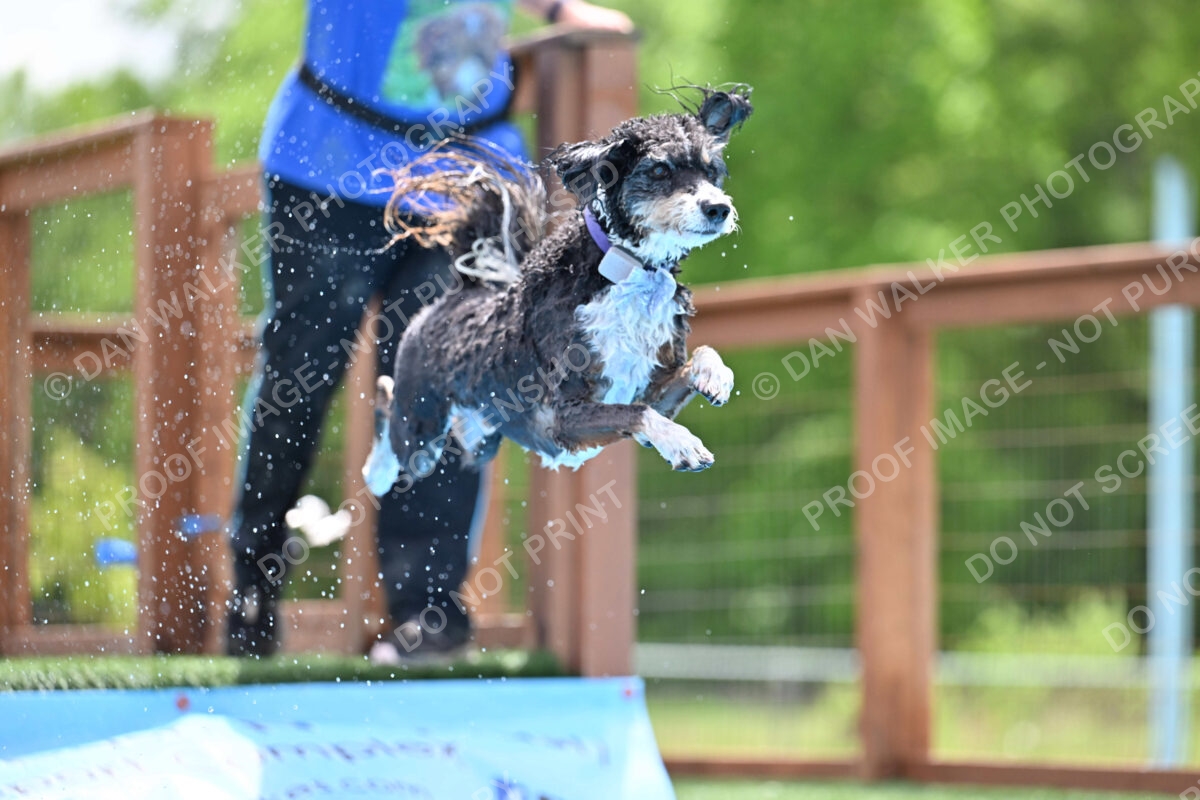 Dukes-5-17-25-01511_11826 PM