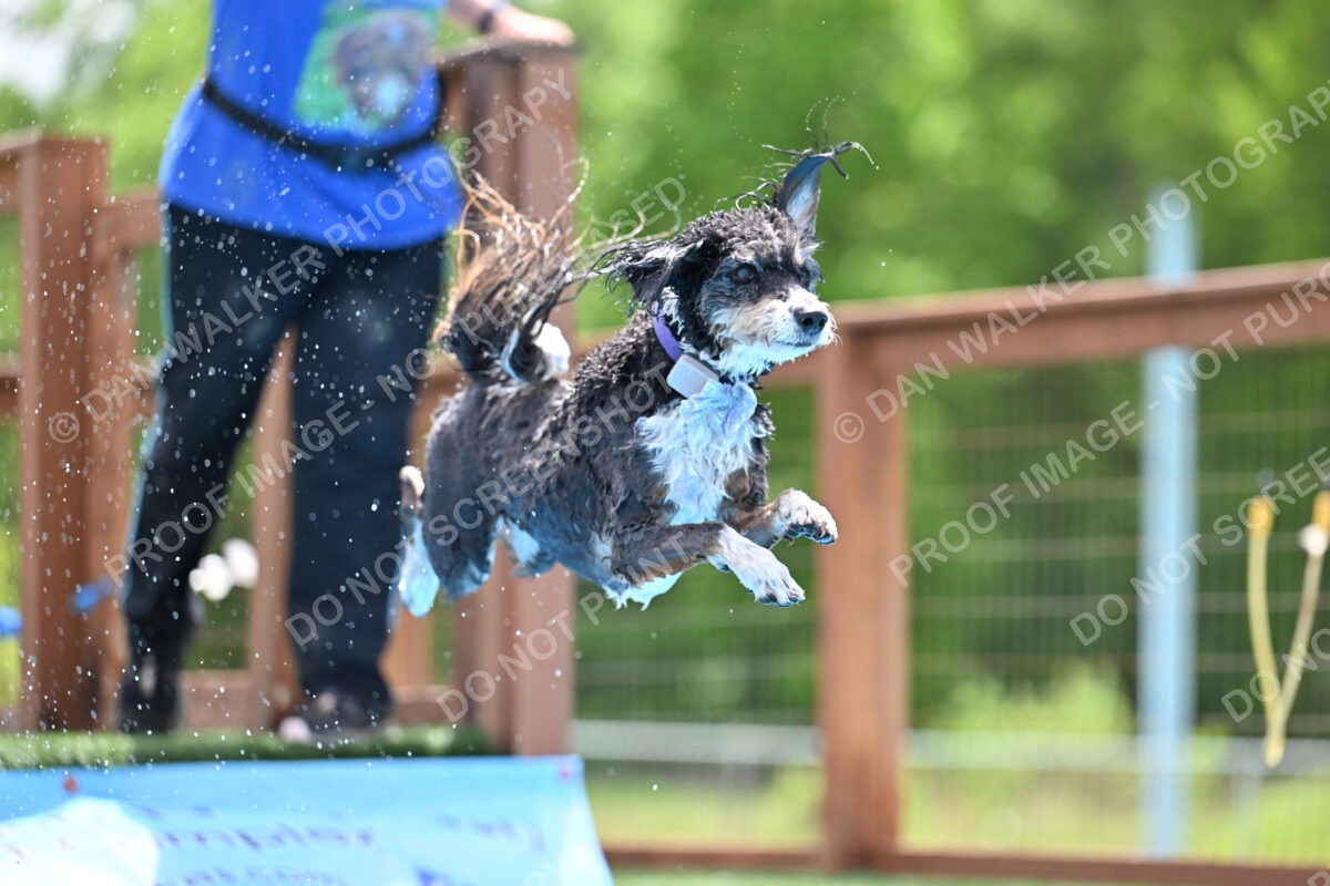 Dukes-5-17-25-01512_11826 PM