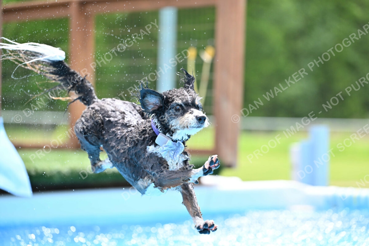 Dukes-5-17-25-01515_11826 PM