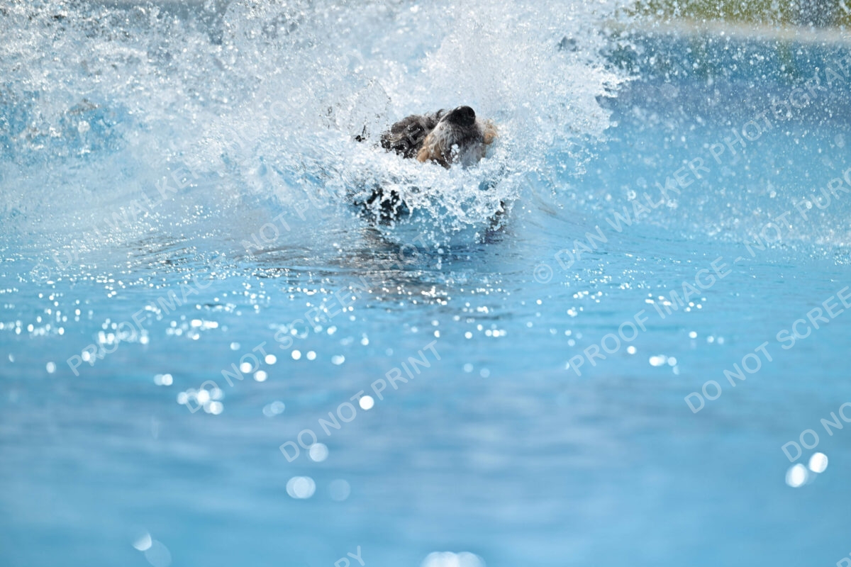 Dukes-5-17-25-01519_11826 PM