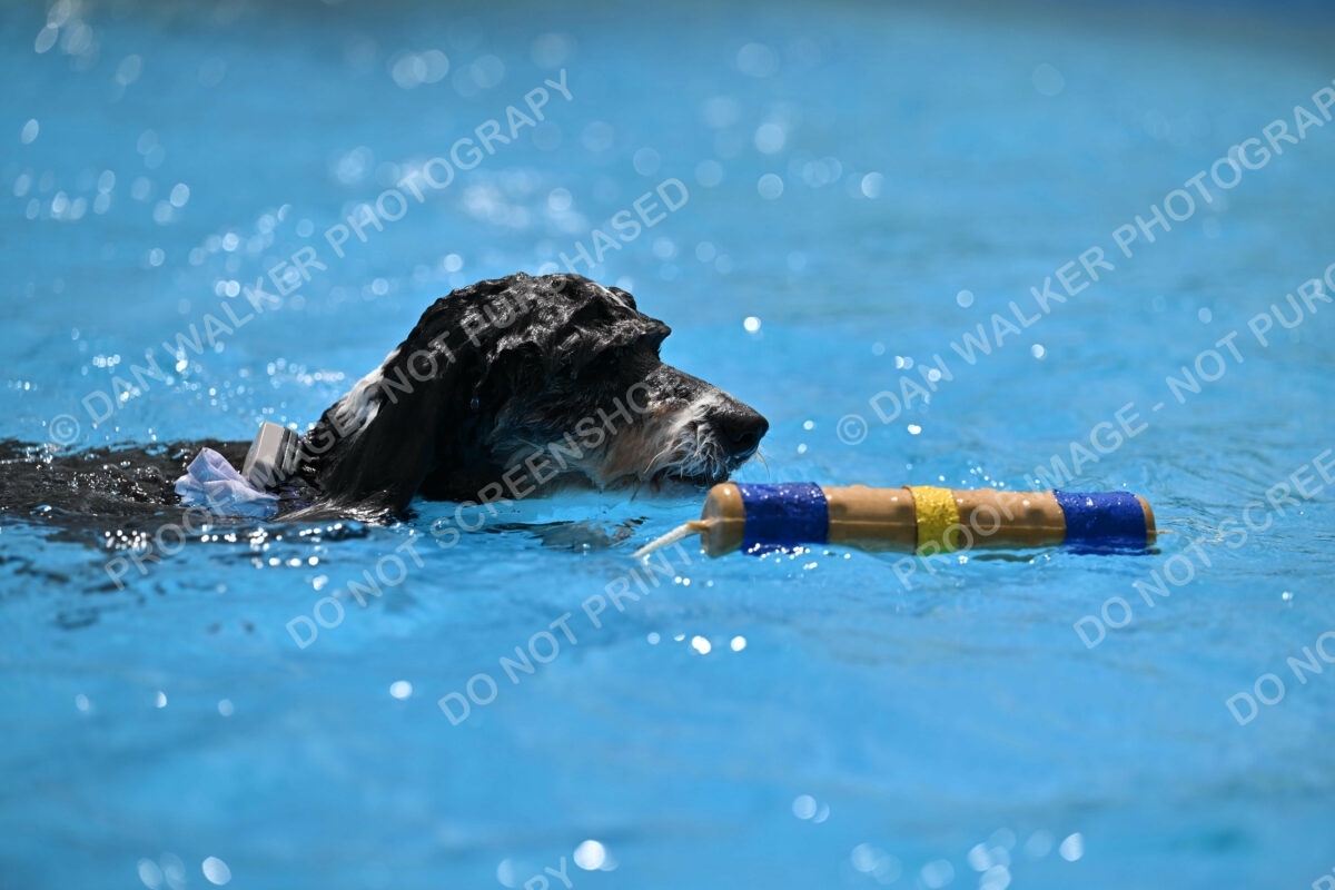 Dukes-5-17-25-01520_11830 PM