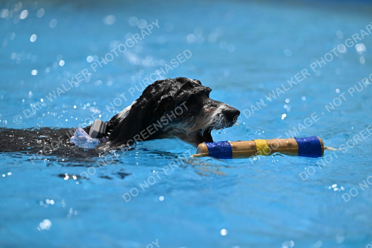 Dukes-5-17-25-01521_11830 PM