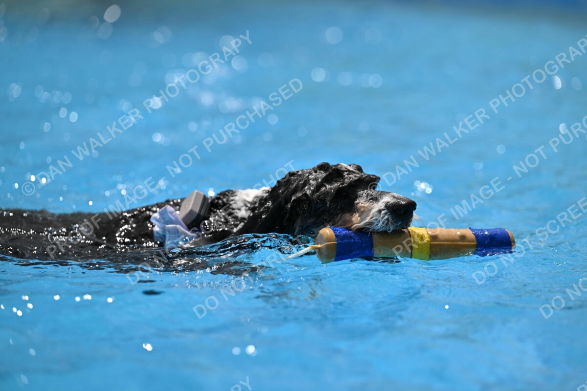 Dukes-5-17-25-01522_11830 PM