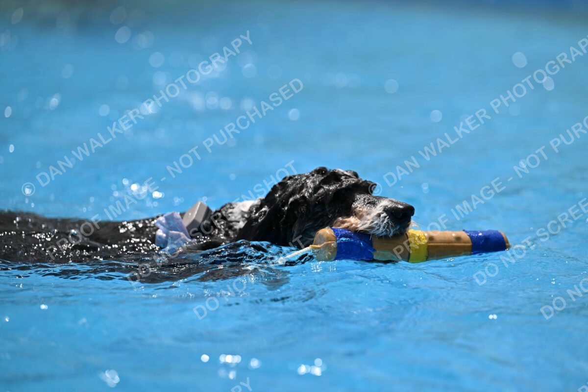 Dukes-5-17-25-01523_11830 PM