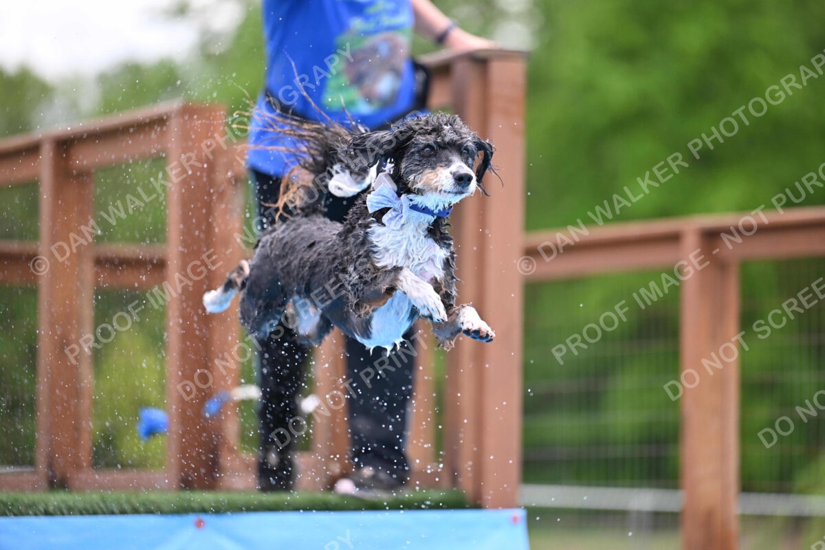 Dukes-5-17-25-01530_11900 PM