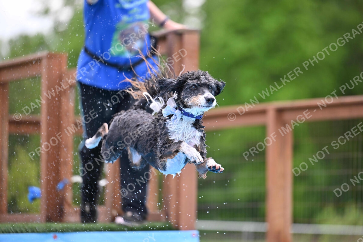 Dukes-5-17-25-01531_11900 PM