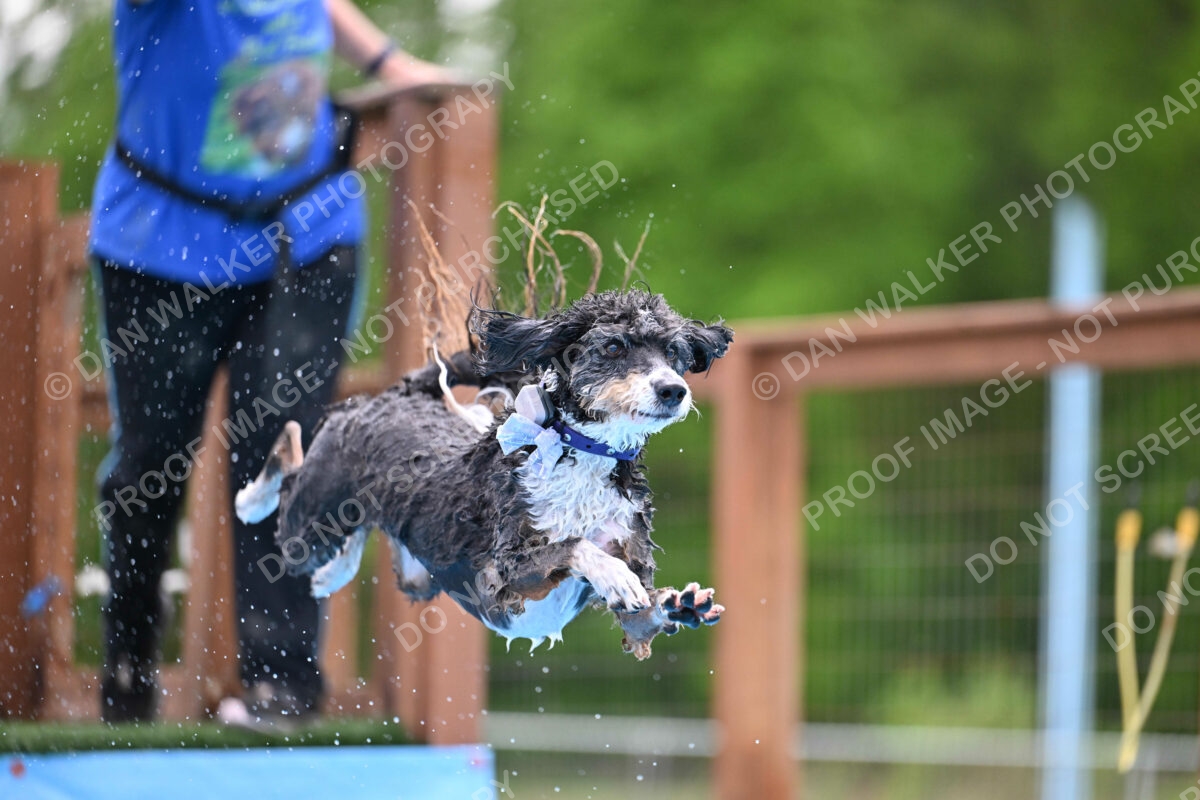 Dukes-5-17-25-01532_11900 PM