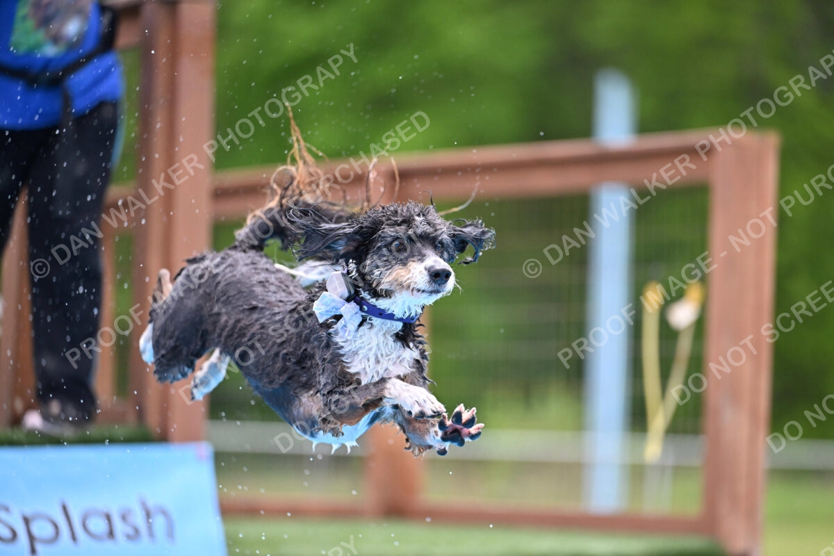 Dukes-5-17-25-01533_11900 PM